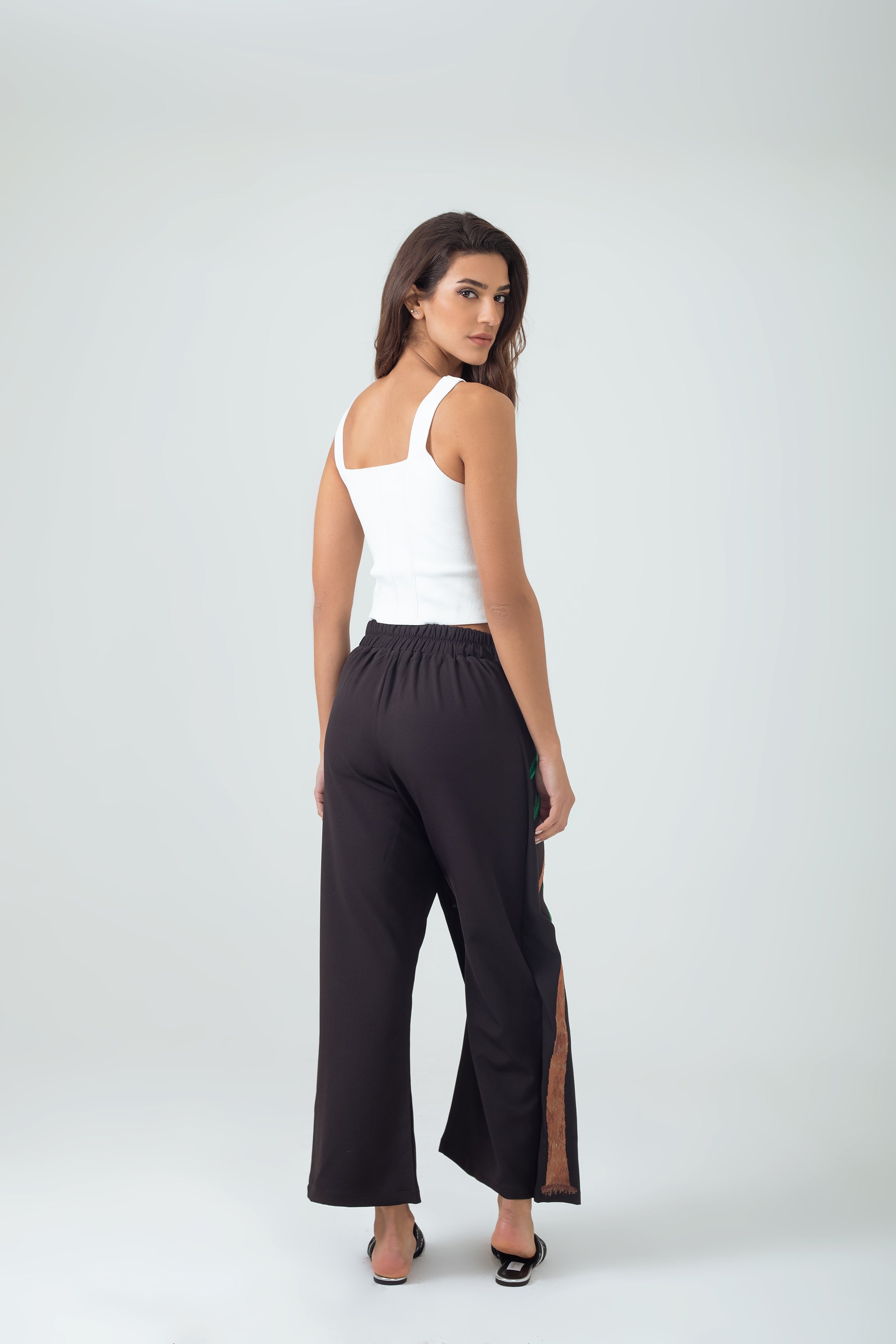 Palms in the dessert